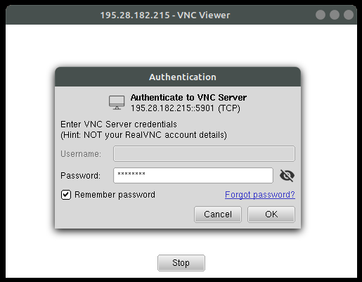 XFCE and VNC server prepared environment